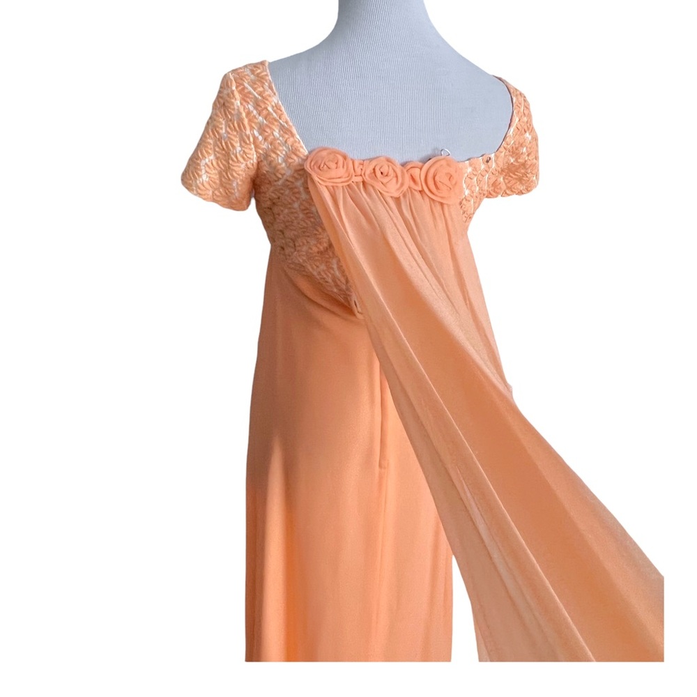 Vintage 60s Short Sleeve Peach Chiffon Empire Waist Maxi Sheath Dress ILGWU - Picture 5 of 11